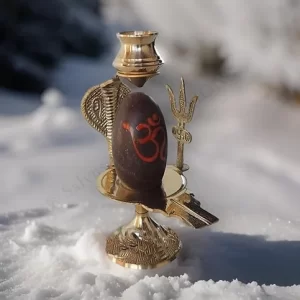 Narmadeshwar Shivling