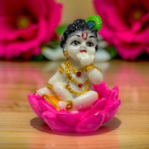 The Divine Presence Bala Krishna and Laddu Gopal Idols